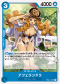 Aphelandra (OP08-041)
