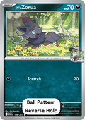 N's Zorua